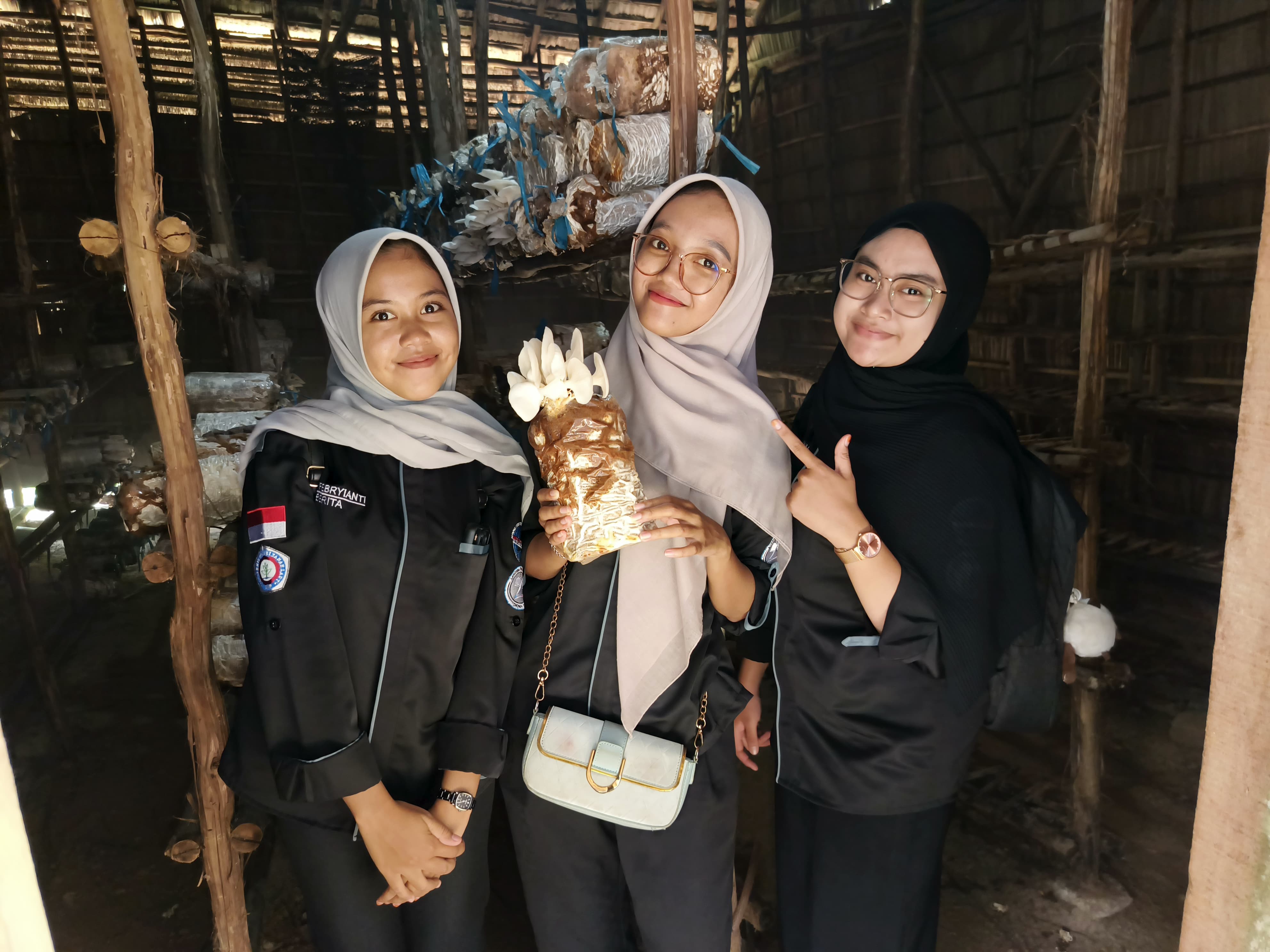 Dari Jamur Menuju Umkm Sukses